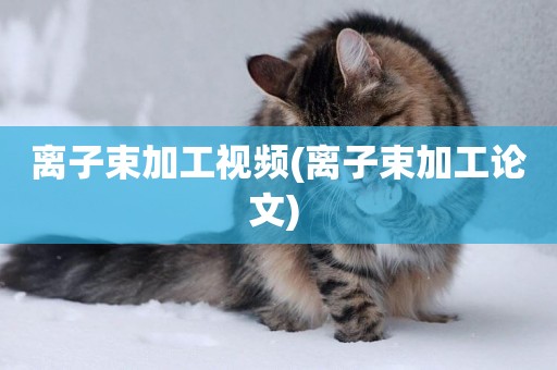 離子束加工視頻(離子束加工論文) 