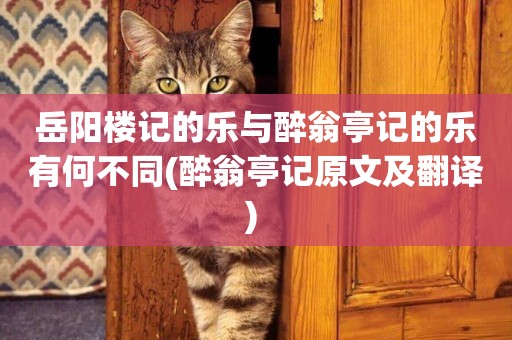 岳陽樓記的樂與醉翁亭記的樂有何不同(醉翁亭記原文及翻譯) 