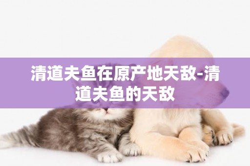 清道夫魚在原產地天敵-清道夫魚的天敵