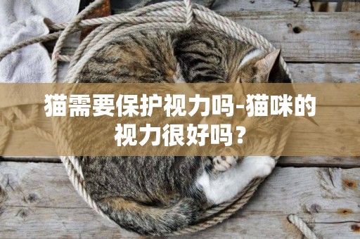 貓需要保護視力嗎-貓咪的視力很好嗎？