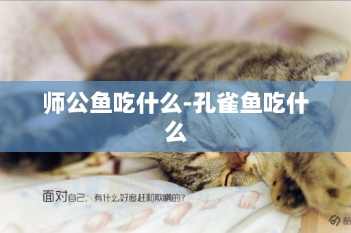 師公魚吃什么-孔雀魚吃什么