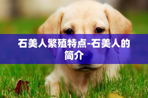 石美人繁殖特點-石美人的簡介