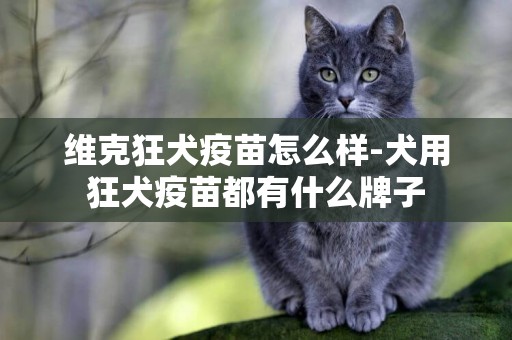 維克狂犬疫苗怎么樣-犬用狂犬疫苗都有什么牌子