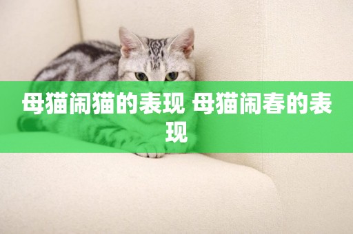 母貓鬧貓的表現 母貓鬧春的表現