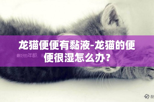 龍貓便便有黏液-龍貓的便便很濕怎么辦？