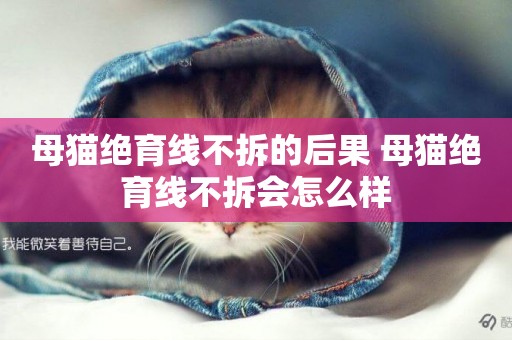母貓絕育線不拆的后果 母貓絕育線不拆會怎么樣