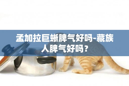 孟加拉巨蜥脾氣好嗎-藏族人脾氣好嗎？