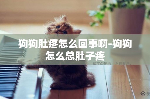 狗狗肚疼怎么回事啊-狗狗怎么總肚子疼