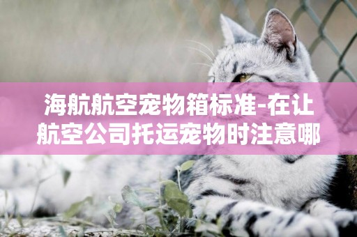 海航航空寵物箱標準-在讓航空公司托運寵物時注意哪些