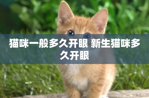 貓咪一般多久開眼 新生貓咪多久開眼