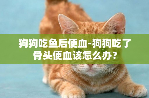 狗狗吃魚后便血-狗狗吃了骨頭便血該怎么辦？