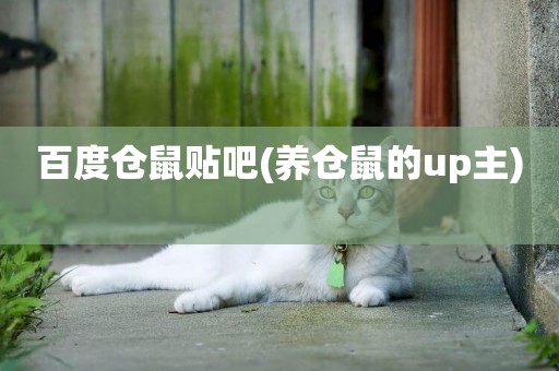 百度倉鼠貼吧(養倉鼠的up主) 