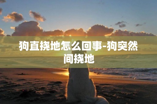 狗直撓地怎么回事-狗突然間撓地