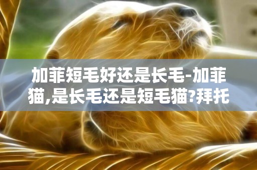 加菲短毛好還是長毛-加菲貓,是長毛還是短毛貓?拜托各位了 3Q