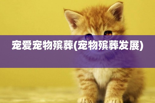 寵愛寵物殯葬(寵物殯葬發展) 