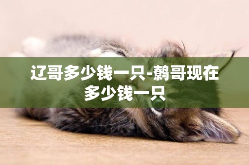 遼哥多少錢一只-鷯哥現在多少錢一只