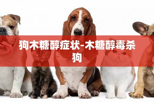 狗木糖醇癥狀-木糖醇毒殺狗