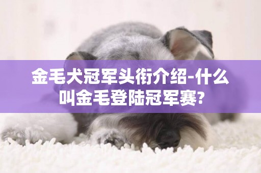 金毛犬冠軍頭銜介紹-什么叫金毛登陸冠軍賽?