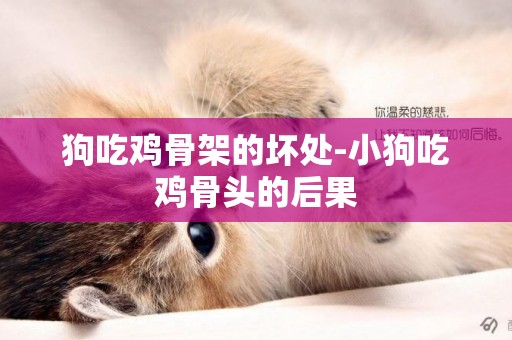 狗吃雞骨架的壞處-小狗吃雞骨頭的后果