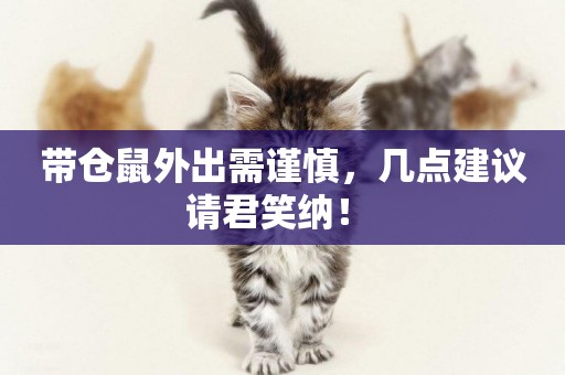 帶倉鼠外出需謹慎，幾點建議請君笑納！ 