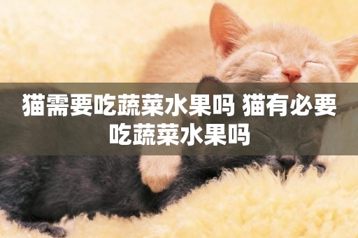 貓需要吃蔬菜水果嗎 貓有必要吃蔬菜水果嗎