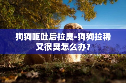 狗狗嘔吐后拉臭-狗狗拉稀又很臭怎么辦？