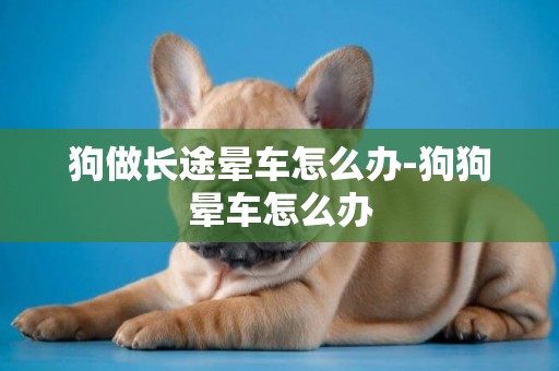 狗做長途暈車怎么辦-狗狗暈車怎么辦