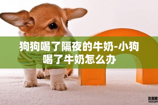 狗狗喝了隔夜的牛奶-小狗喝了牛奶怎么辦