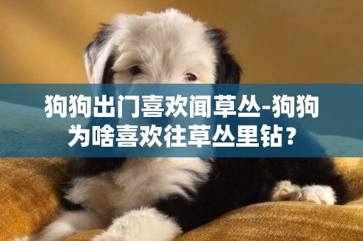 狗狗出門喜歡聞草叢-狗狗為啥喜歡往草叢里鉆？