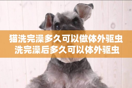 貓洗完澡多久可以做體外驅蟲 洗完澡后多久可以體外驅蟲