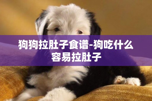 狗狗拉肚子食譜-狗吃什么容易拉肚子