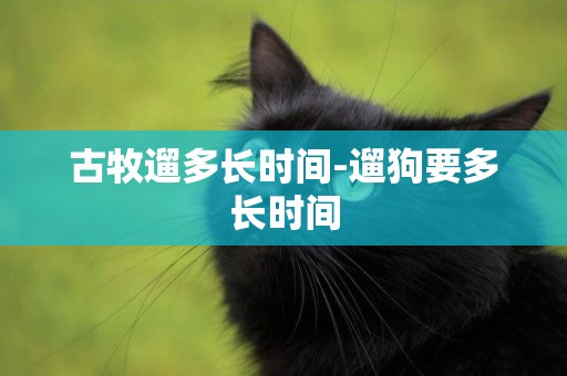 古牧遛多長時間-遛狗要多長時間
