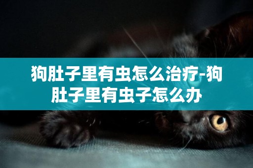 狗肚子里有蟲怎么治療-狗肚子里有蟲子怎么辦