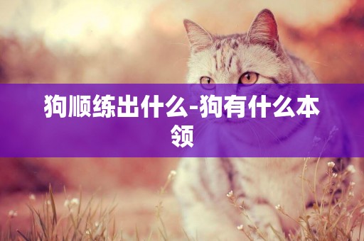 狗順練出什么-狗有什么本領