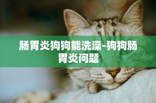 腸胃炎狗狗能洗澡-狗狗腸胃炎問題
