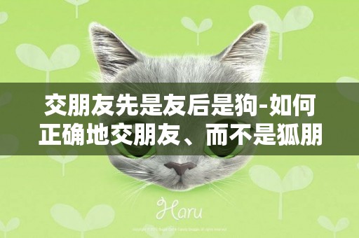 交朋友先是友后是狗-如何正確地交朋友、而不是狐朋狗友、