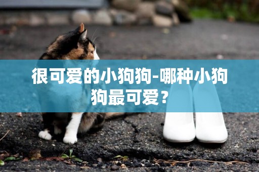 很可愛的小狗狗-哪種小狗狗最可愛？
