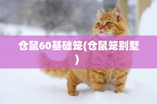 倉鼠60基礎籠(倉鼠籠別墅) 