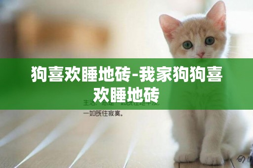 狗喜歡睡地磚-我家狗狗喜歡睡地磚