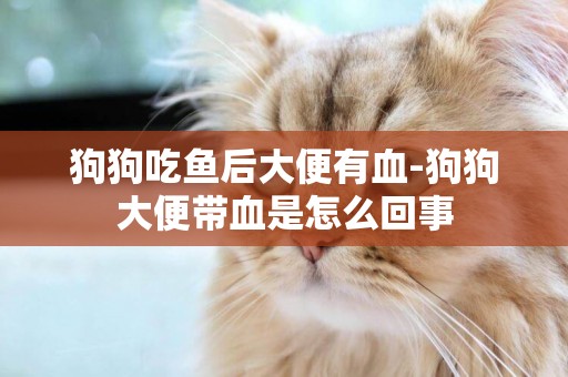 狗狗吃魚后大便有血-狗狗大便帶血是怎么回事