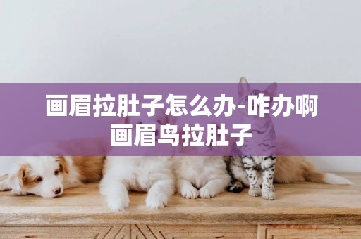 畫眉拉肚子怎么辦-咋辦啊畫眉鳥拉肚子