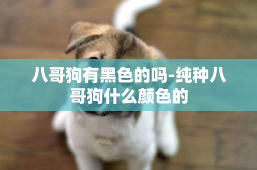八哥狗有黑色的嗎-純種八哥狗什么顏色的