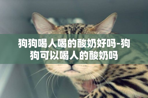 狗狗喝人喝的酸奶好嗎-狗狗可以喝人的酸奶嗎