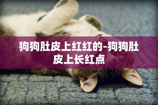 狗狗肚皮上紅紅的-狗狗肚皮上長紅點