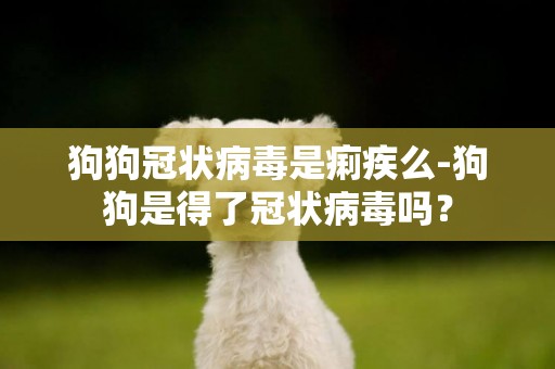 狗狗冠狀病毒是痢疾么-狗狗是得了冠狀病毒嗎？