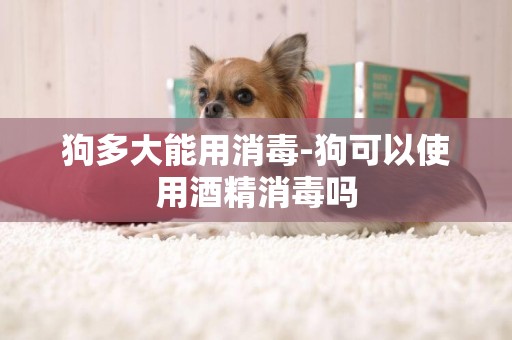 狗多大能用消毒-狗可以使用酒精消毒嗎