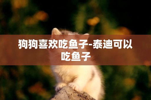 狗狗喜歡吃魚子-泰迪可以吃魚子