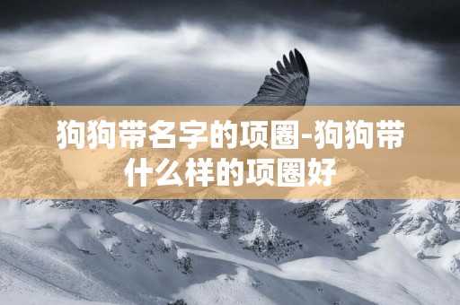 狗狗帶名字的項圈-狗狗帶什么樣的項圈好