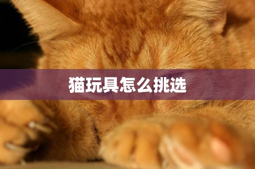 貓玩具怎么挑選
