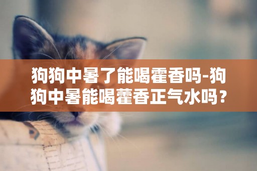 狗狗中暑了能喝霍香嗎-狗狗中暑能喝藿香正氣水嗎？